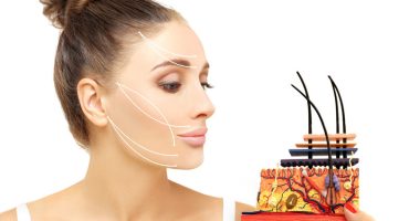Noções Básicas de Cosmetologia e Dermatologia – Anatomia e Fisiologia da Pele
