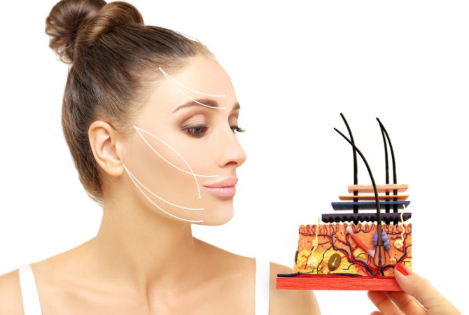 Noções Básicas de Cosmetologia e Dermatologia – Anatomia e Fisiologia da Pele